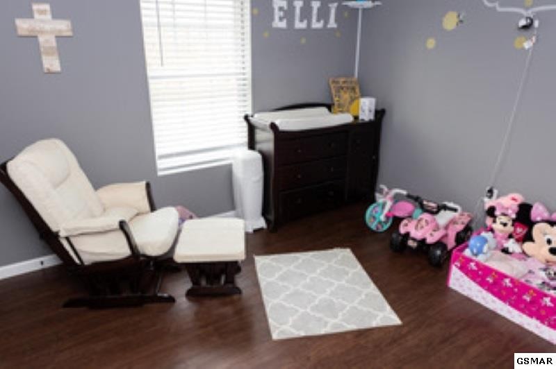 1226 Tramel Road Sevierville, TN 37862 - Photo 10 of 22 Gallery Image 10