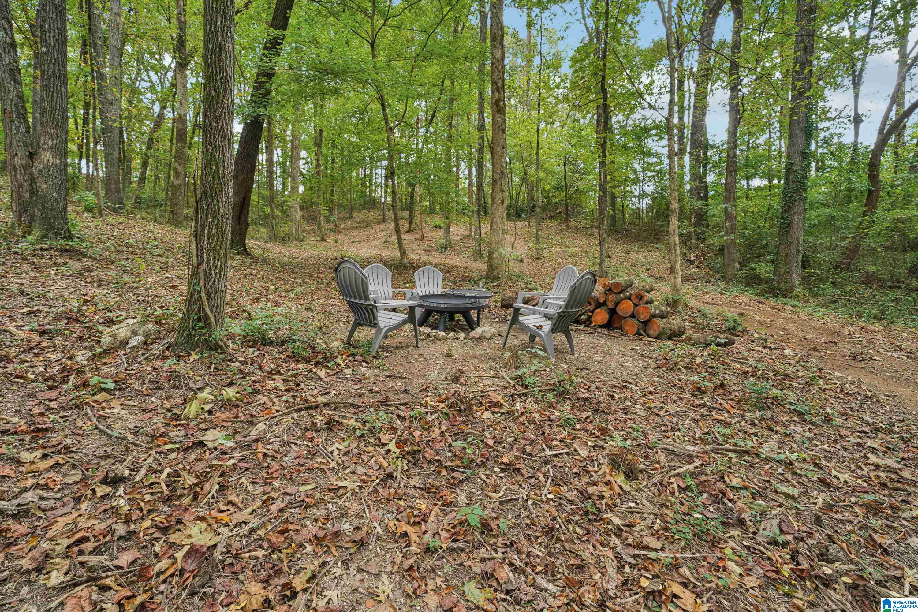 150 Virginia Street Oneonta, AL 35121 - Photo 49 of 62