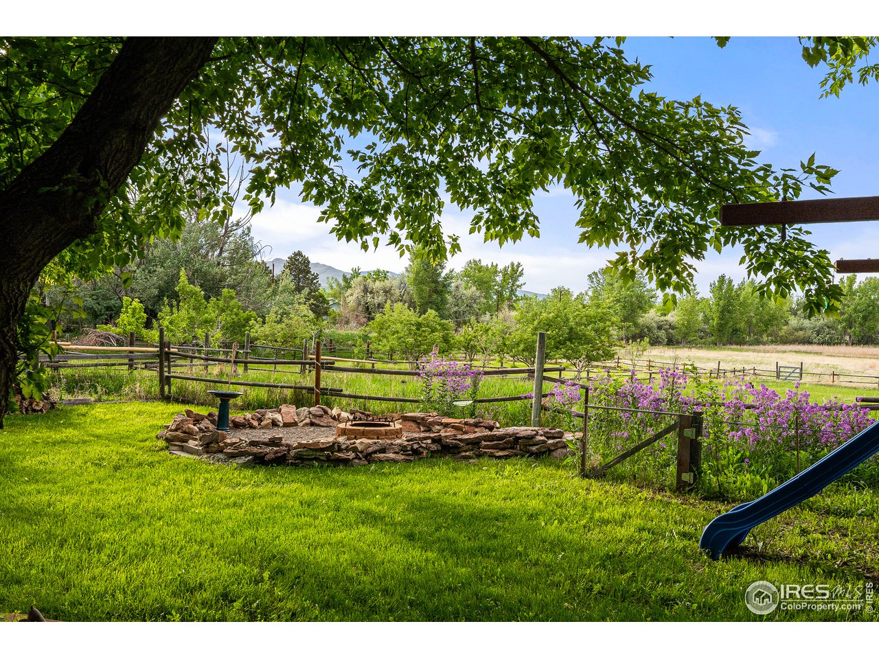 4731 Jay Road Boulder, CO 80301 - Photo 29 of 33 a view of a park with large trees