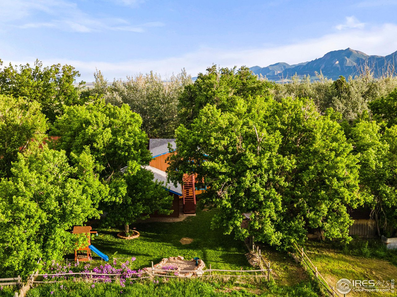 4731 Jay Road Boulder, CO 80301 - Photo 3 of 33 a view of a lush green field with lots of bushes