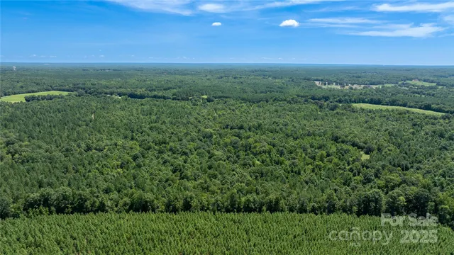 a view of a big yard with lots of green space