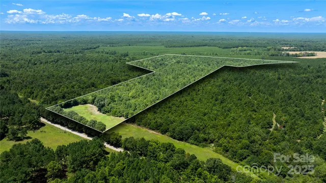 a view of a big yard