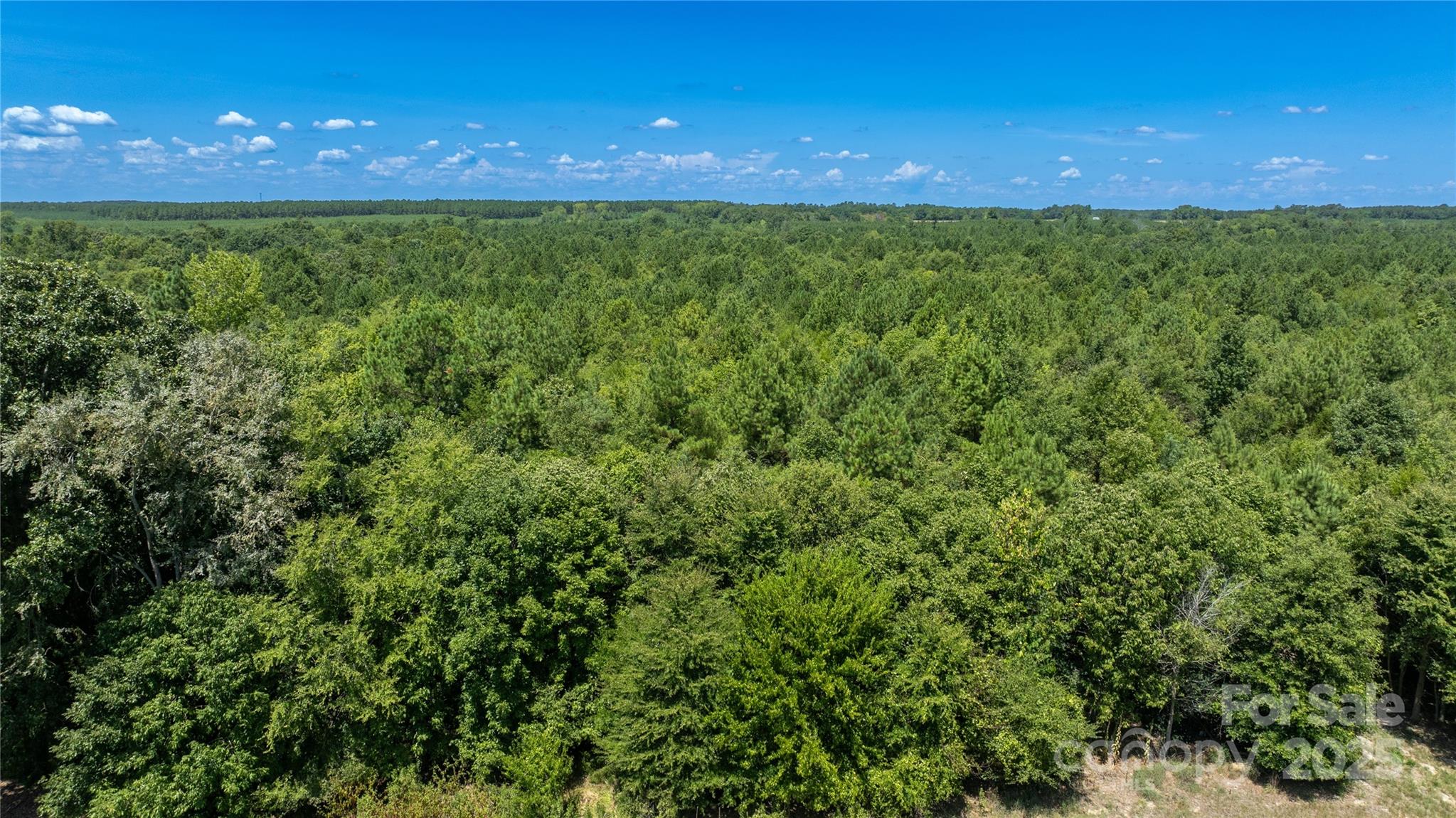 0 Daystar Road, Unit 6 Lancaster, SC 29720 - Photo 15 of 25 Gallery Image 15