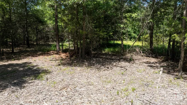 a view of a yard with plants and trees
