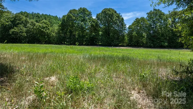 a view of a green field with plants in the background