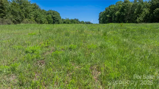 a view of a green yard