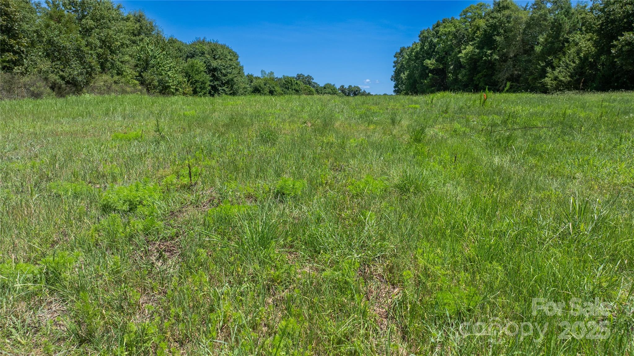 0 Daystar Road, Unit 6 Lancaster, SC 29720 - Photo 20 of 25 Gallery Image 20
