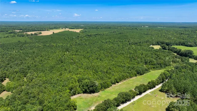 a view of a lush green outdoor space with a lake view