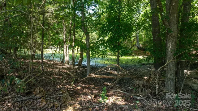 a view of outdoor space