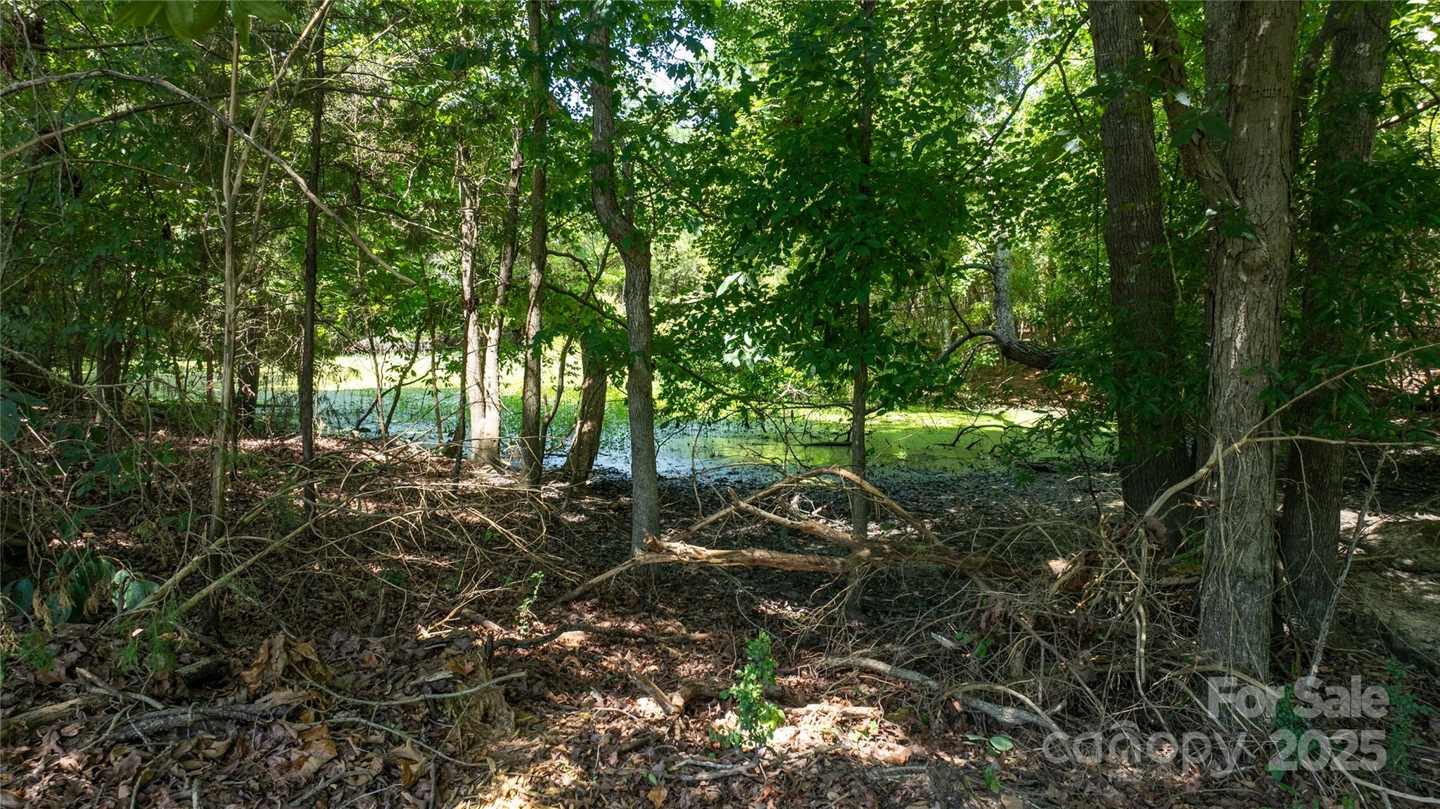 0 Daystar Road, Unit 6 Lancaster, SC 29720 - Photo 23 of 25 Gallery Image 23