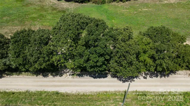 a view of yard with green space