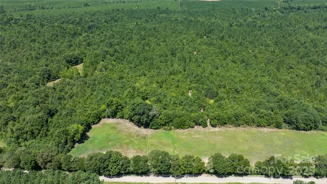a view of a green field with lots of bushes