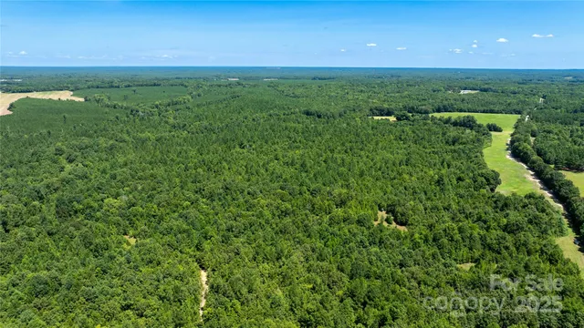 a view of a lush green forest with a sink