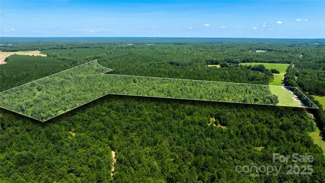 a view of a green field with lots of bushes
