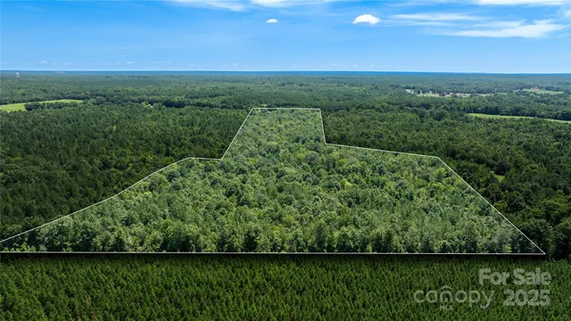 a view of a city with lush green forest