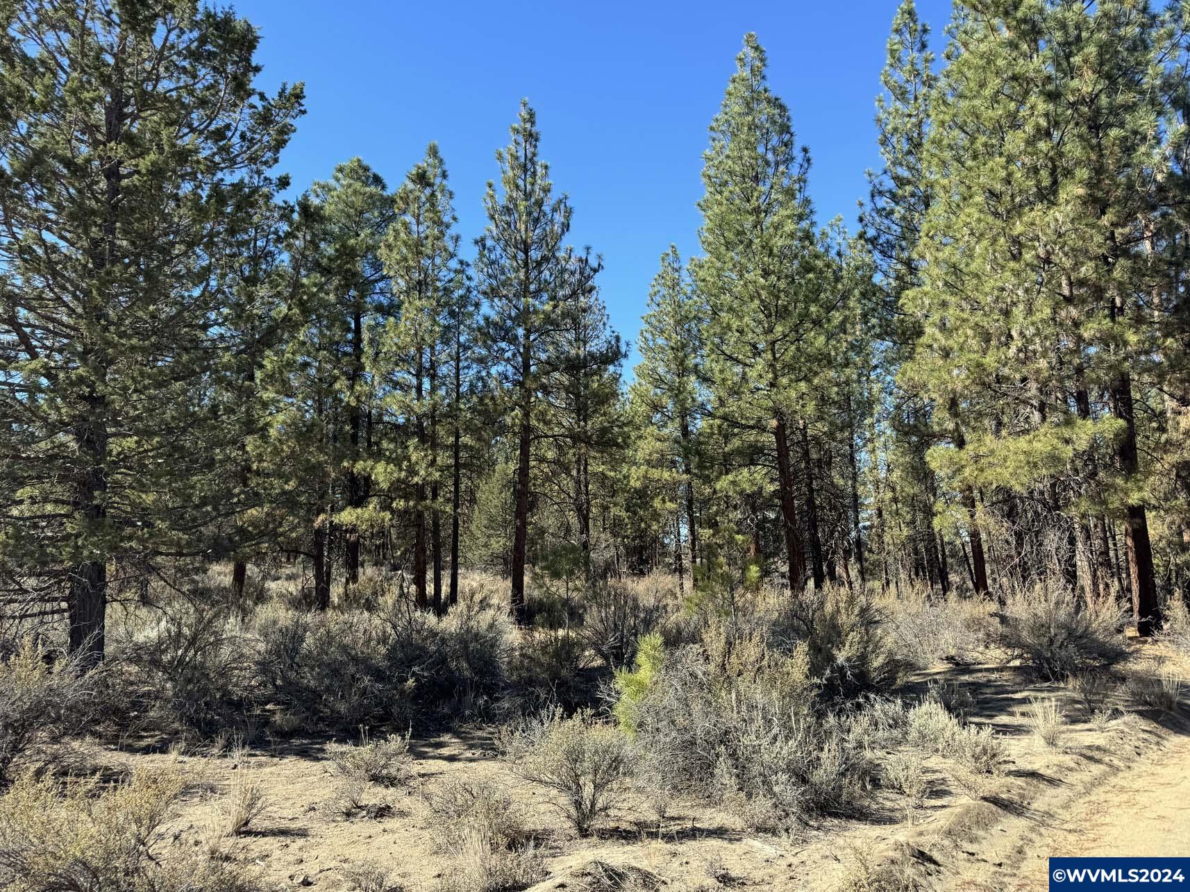 600 Oregon Pines Road Chiloquin, OR 97624 - Photo 40 of 49