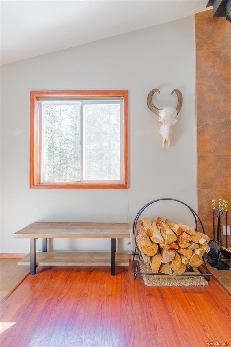 182 Rachael's Place Fairplay, CO 80440 - Photo 29 of 41