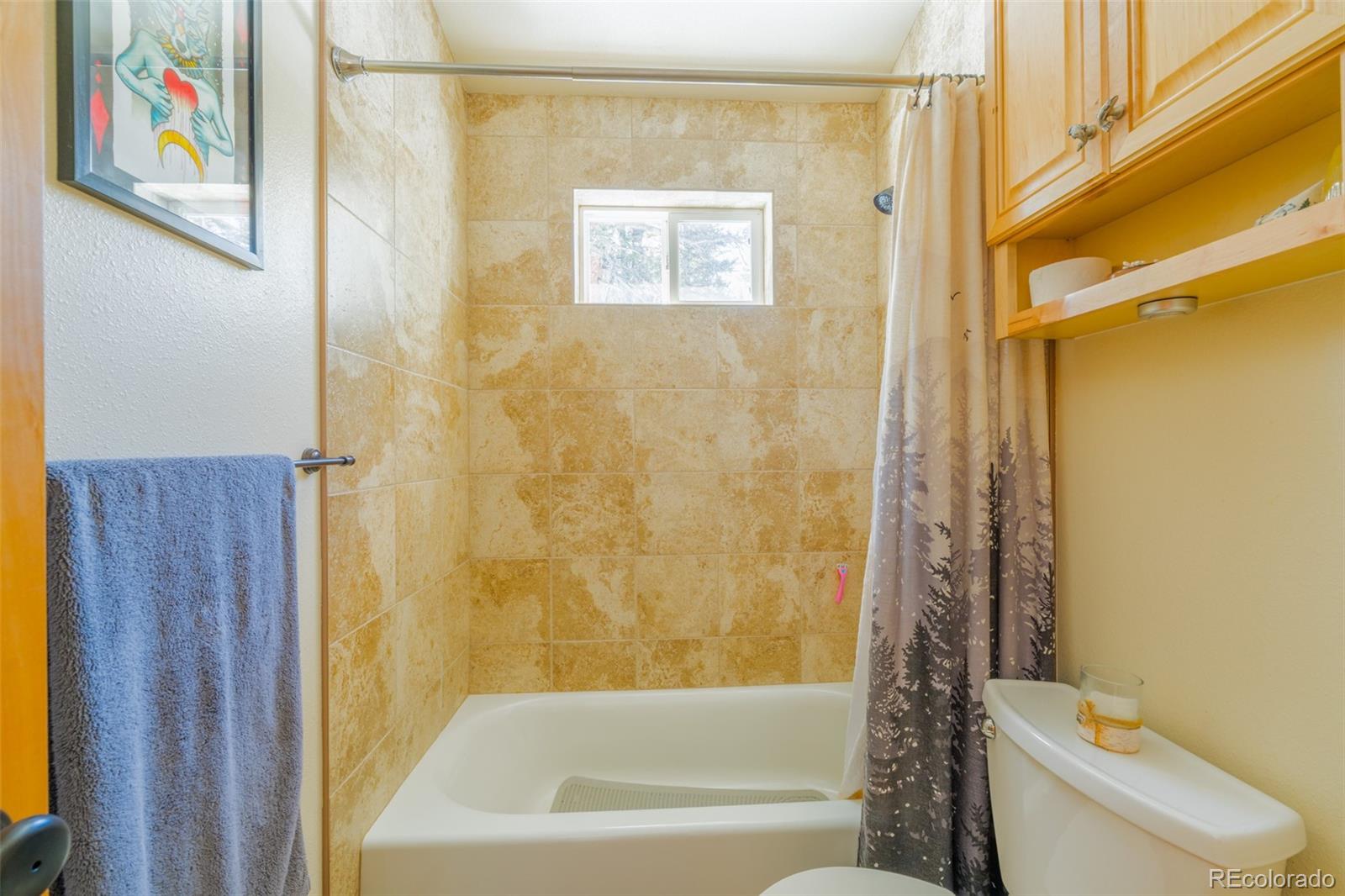 182 Rachael's Place Fairplay, CO 80440 - Photo 35 of 41