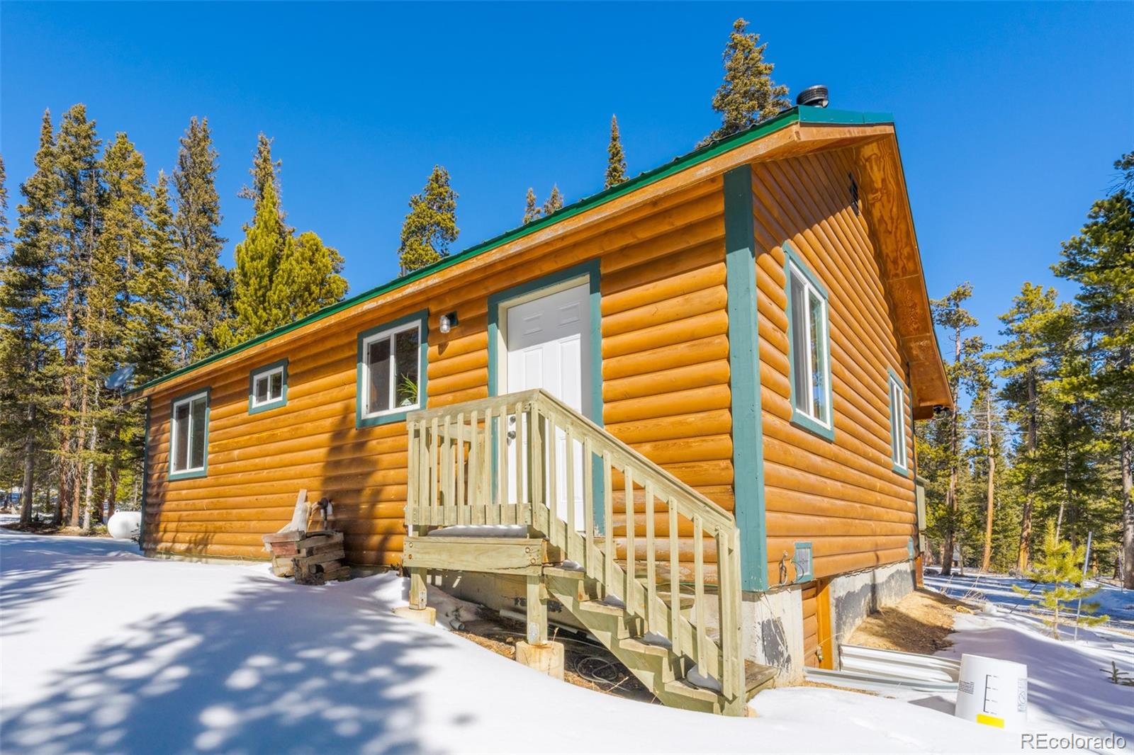 182 Rachael's Place Fairplay, CO 80440 - Photo 37 of 41