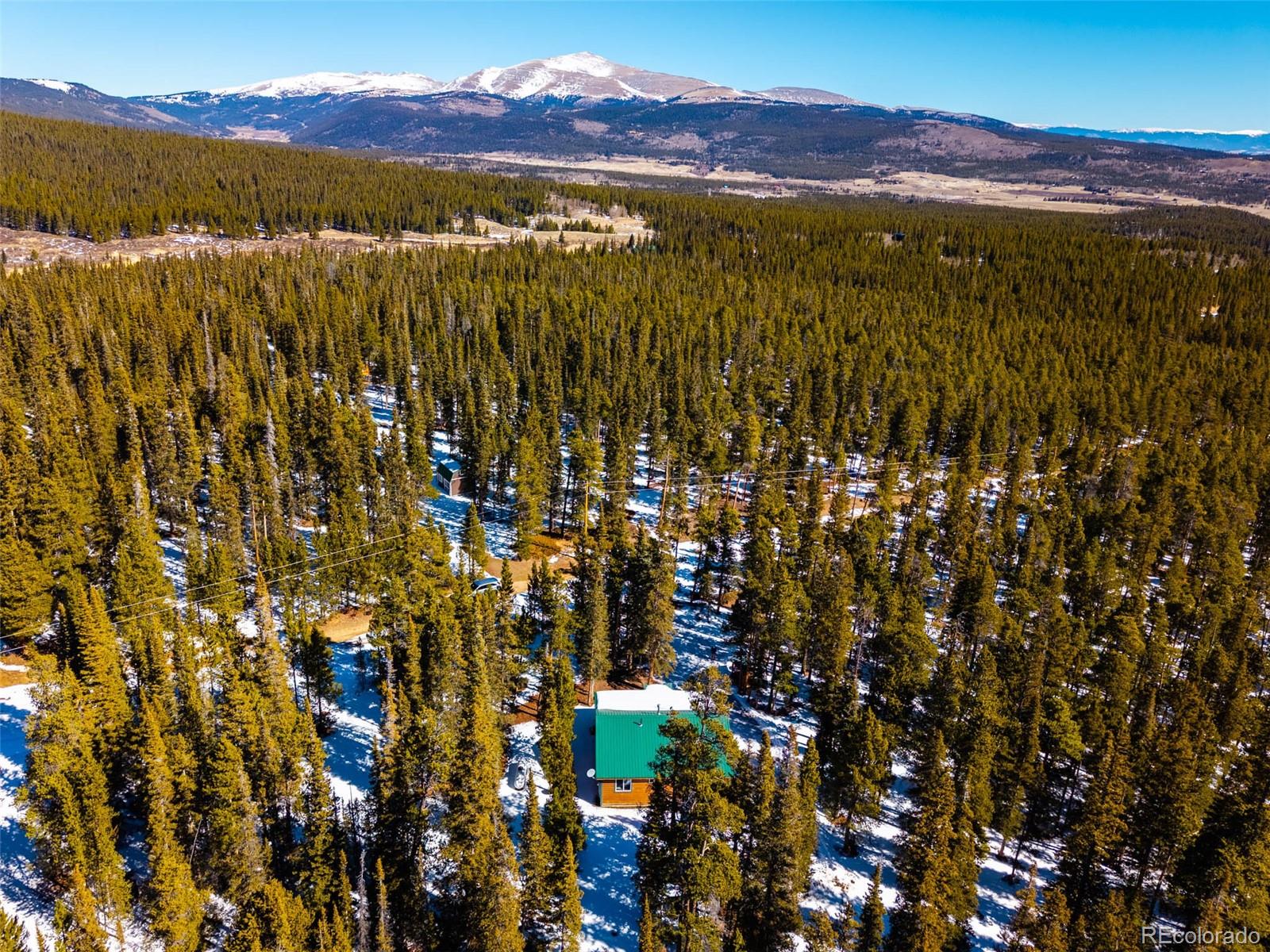 182 Rachael's Place Fairplay, CO 80440 - Photo 5 of 41