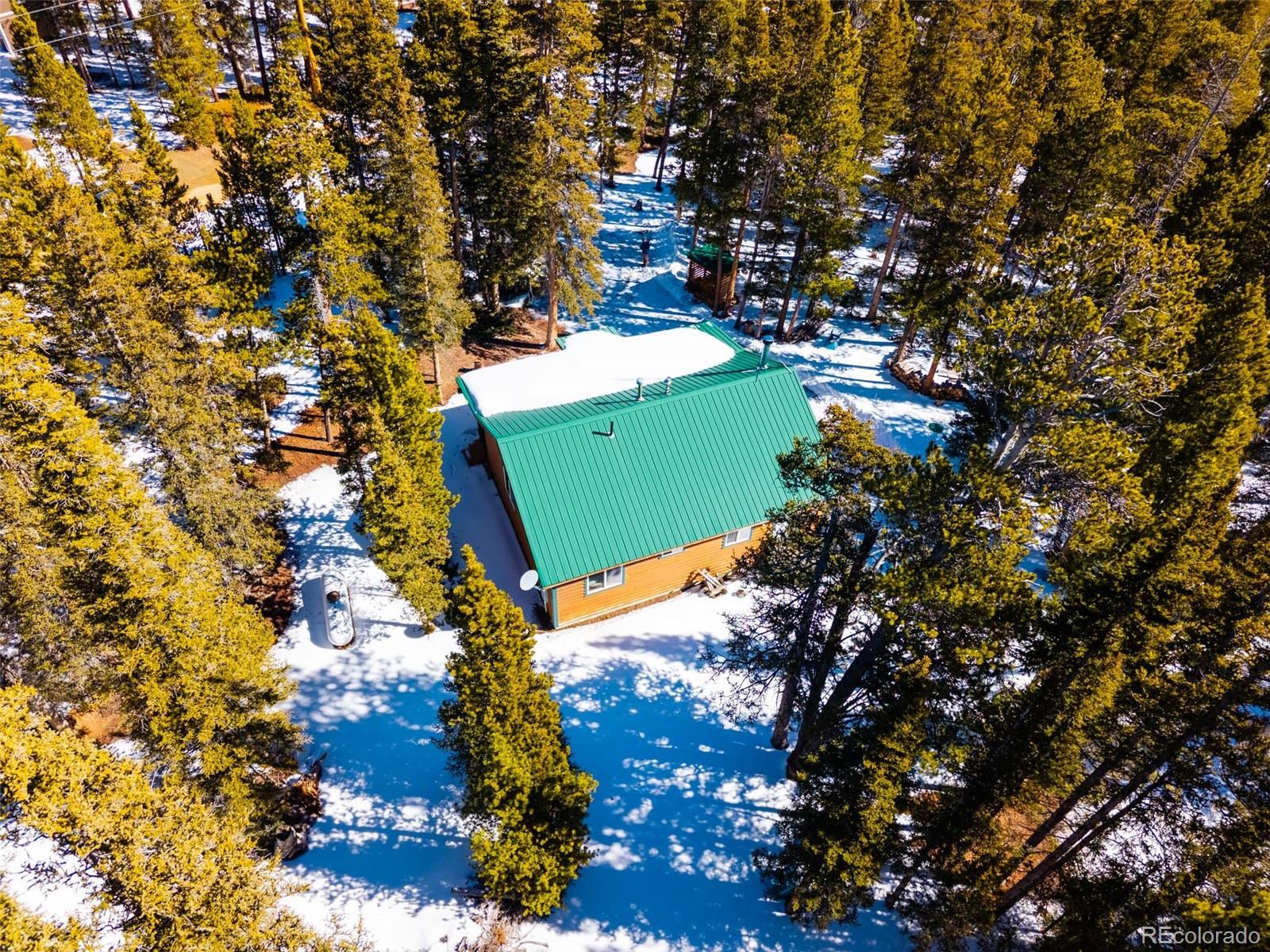 182 Rachael's Place Fairplay, CO 80440 - Photo 6 of 41