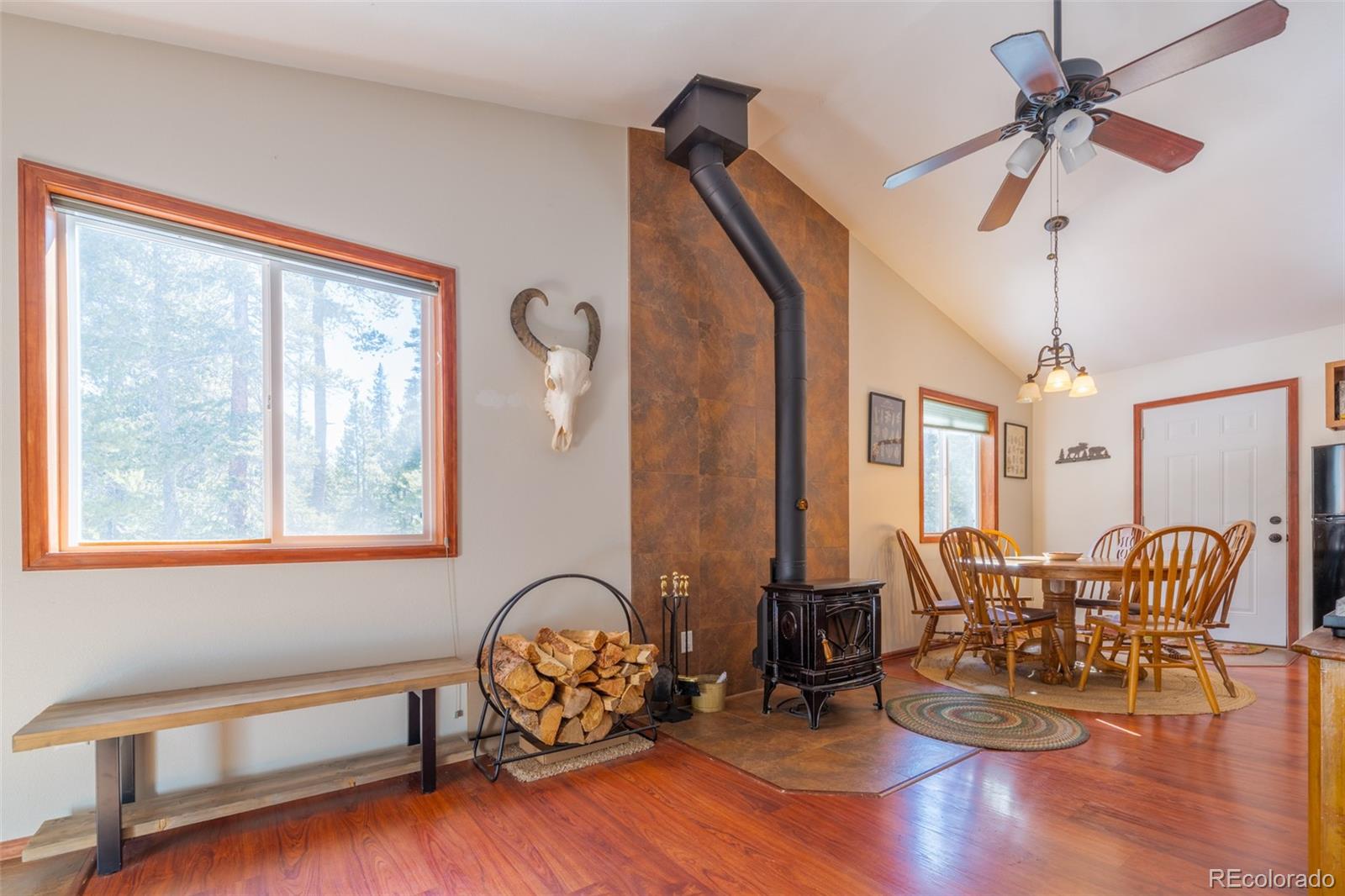 182 Rachael's Place Fairplay, CO 80440 - Photo 9 of 41