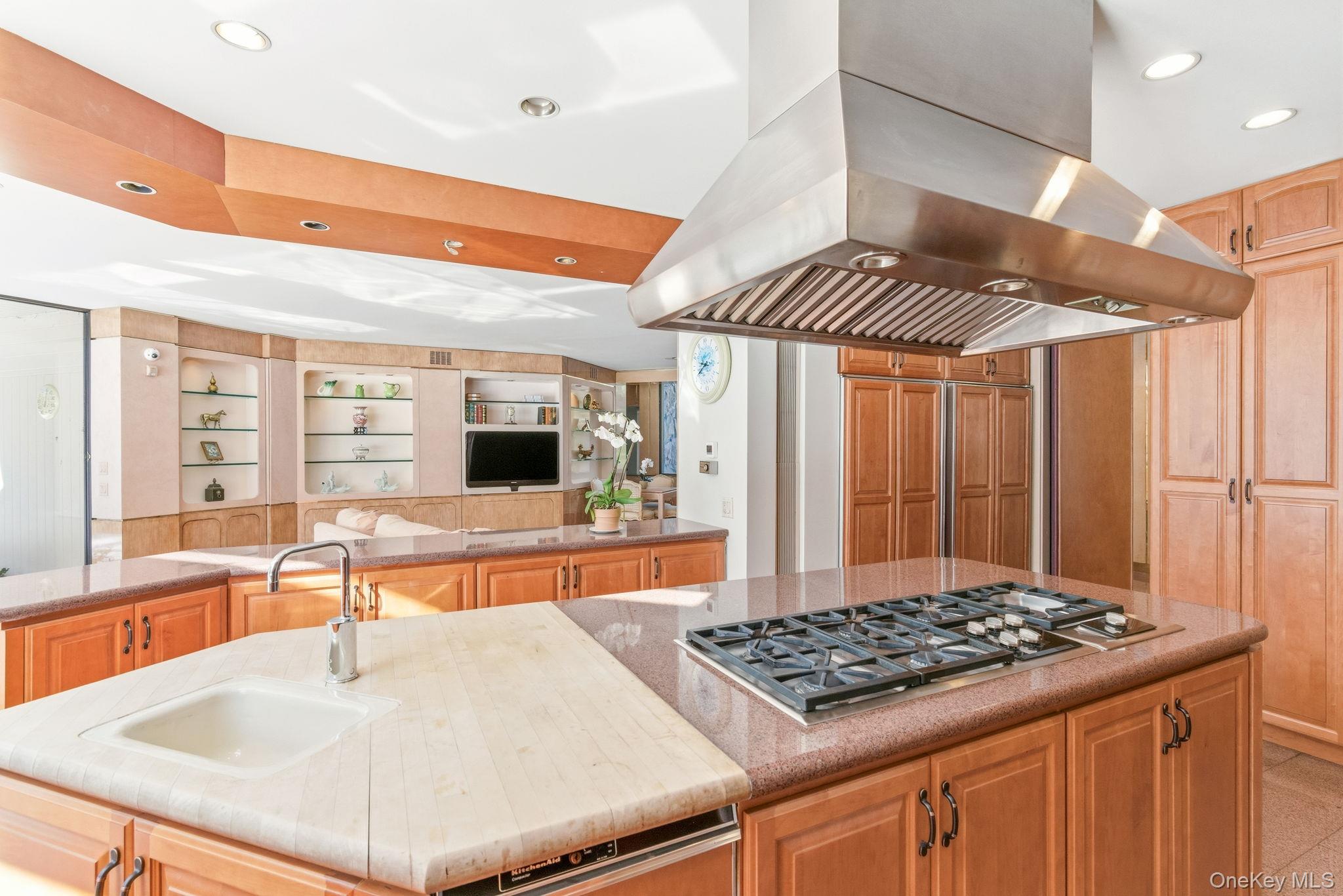 101 Wheatley Road Old Westbury, NY 11568 - Photo 15 of 49