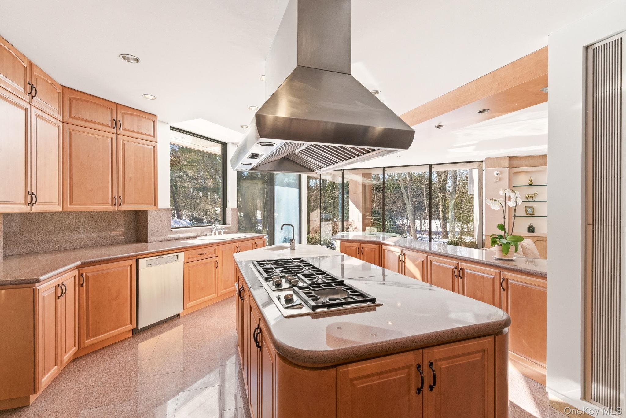 101 Wheatley Road Old Westbury, NY 11568 - Photo 16 of 49