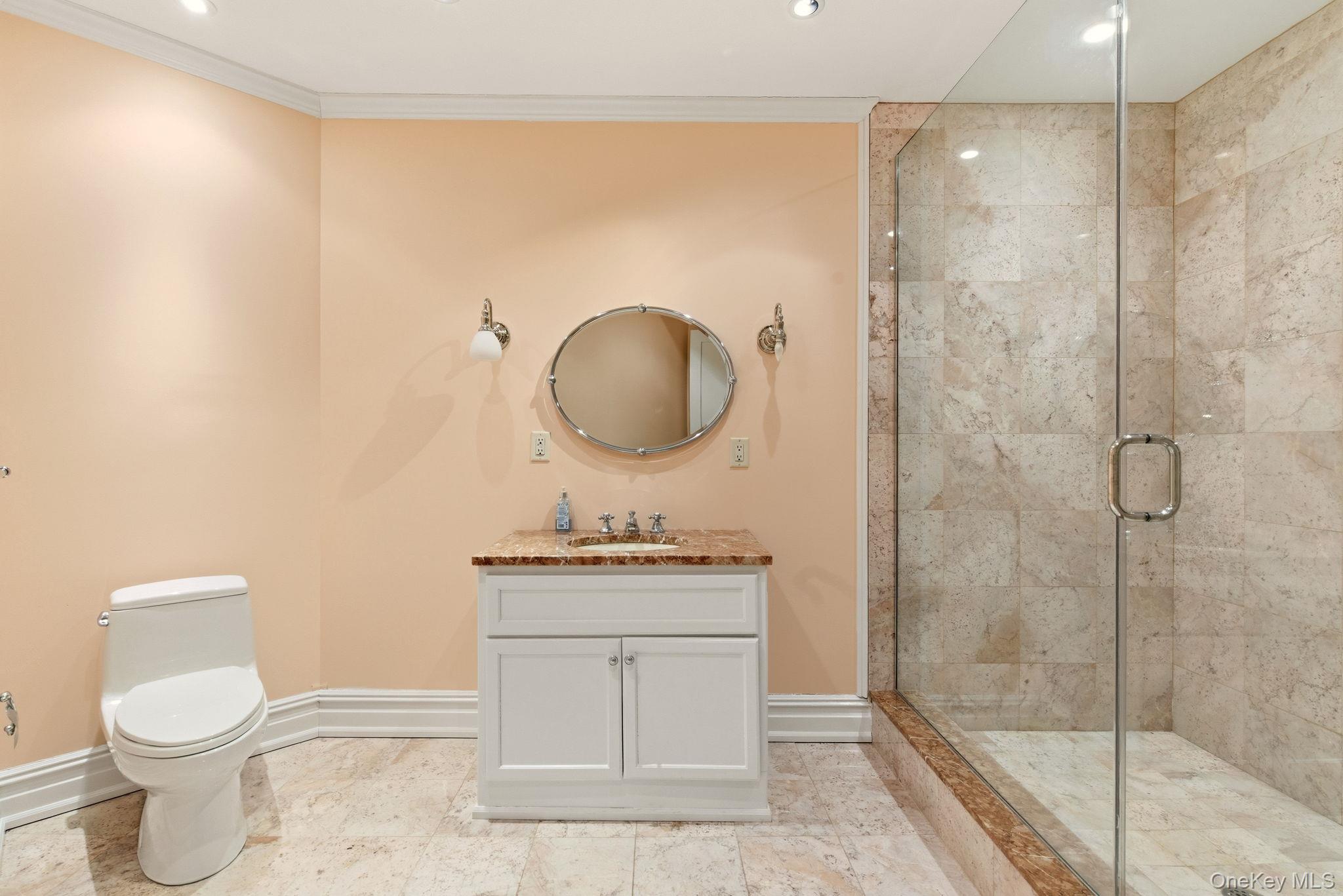 101 Wheatley Road Old Westbury, NY 11568 - Photo 45 of 49