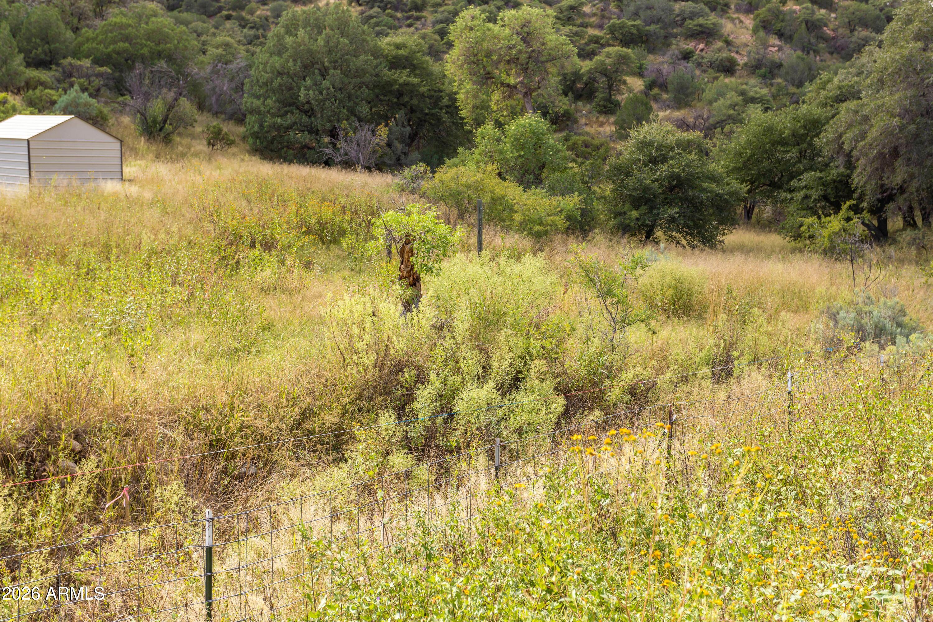 2267 West Mule Pass Road Bisbee, AZ 85603 - Photo 11 of 63 IMG_4157
