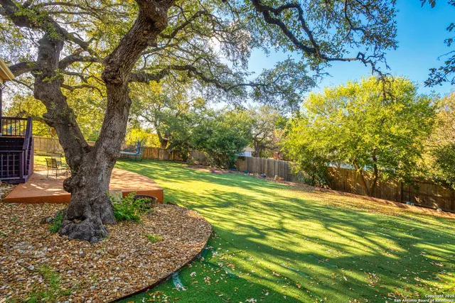 a view of a trees in a yard with large trees