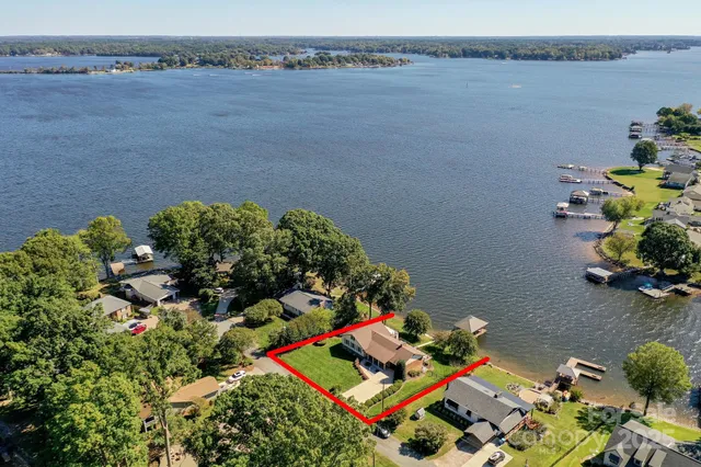 a bunch of flowers are in a garden