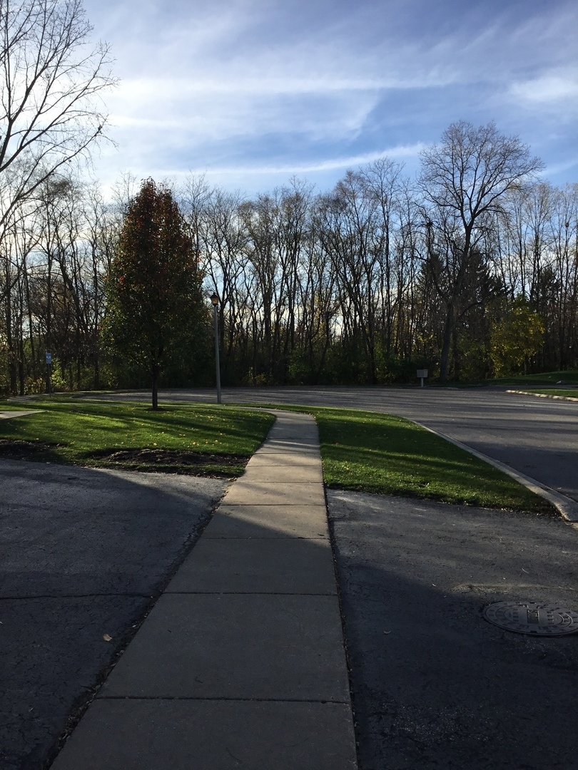 618 Silver Creek Road, Unit 618 Woodstock, IL 60098 - Photo 16 of 21 a view of park with large trees
