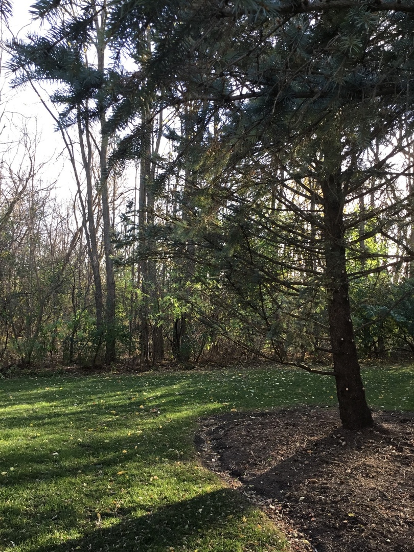 618 Silver Creek Road, Unit 618 Woodstock, IL 60098 - Photo 17 of 21 a view of a park
