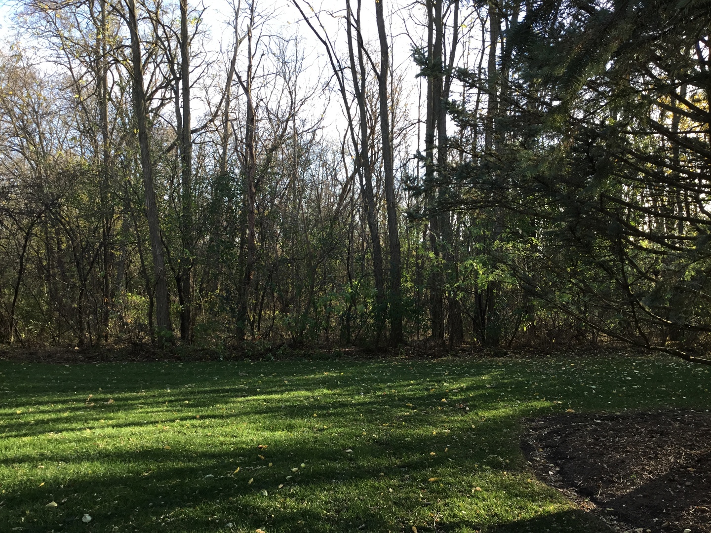 618 Silver Creek Road, Unit 618 Woodstock, IL 60098 - Photo 18 of 21 a view of outdoor space with a garden