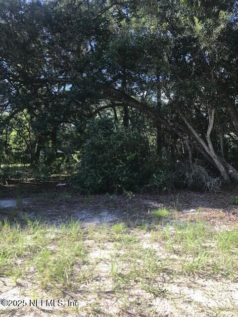 114 Heinz Road Hawthorne, FL 32640 - Photo 2 of 7 a view of a yard
