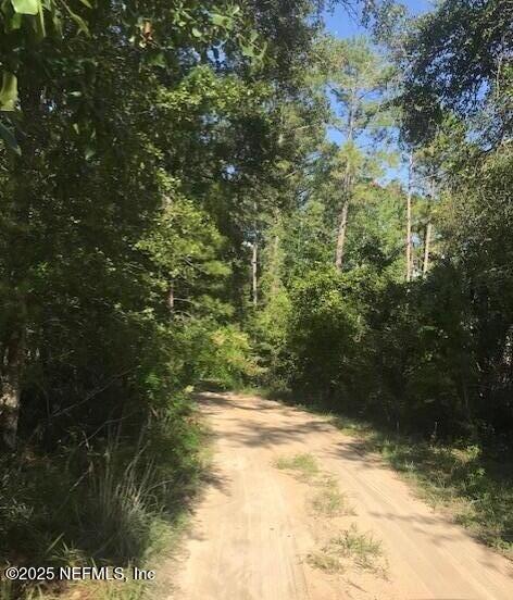 114 Heinz Road Hawthorne, FL 32640 - Photo 3 of 7 a view of yard