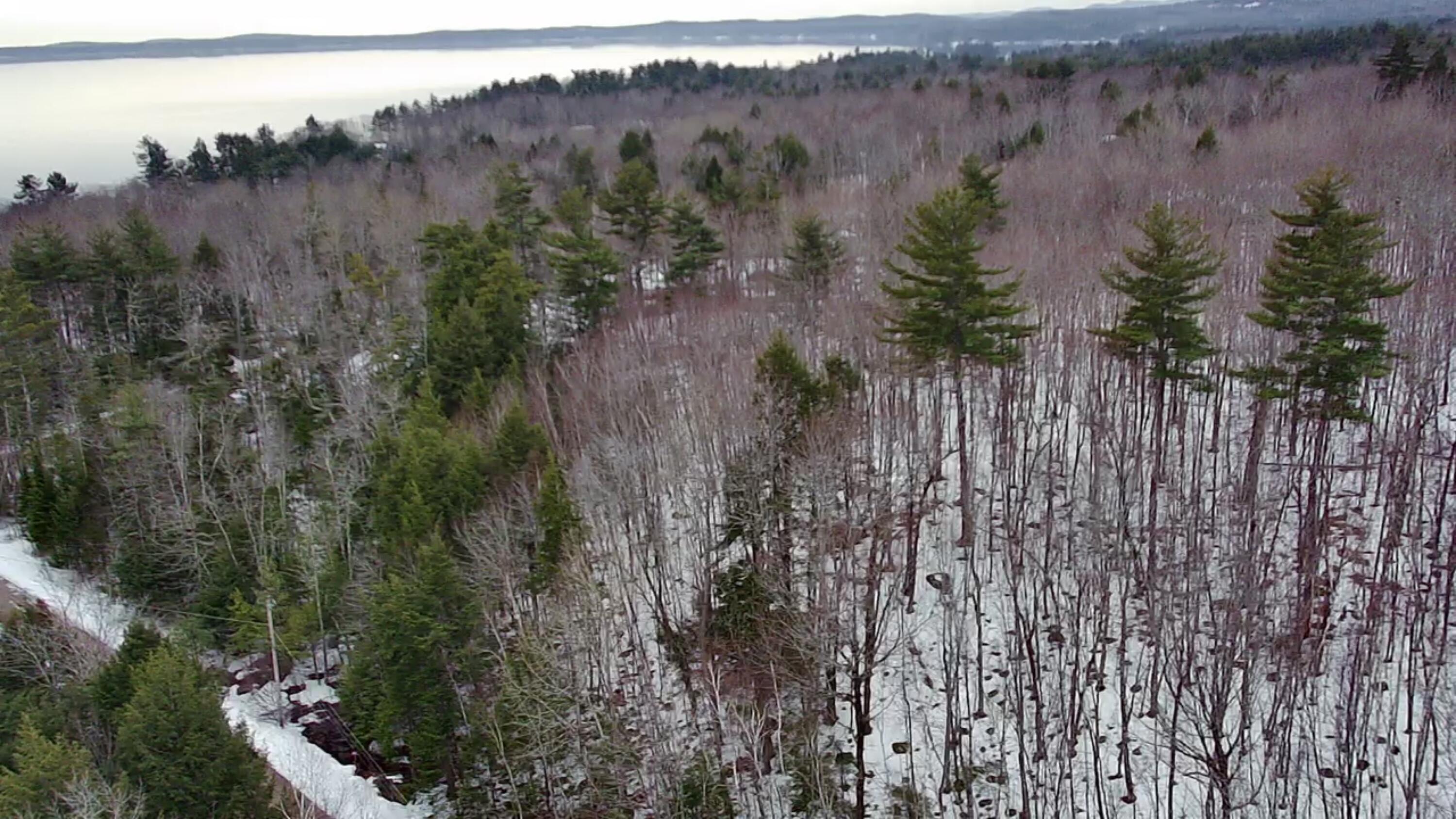 Lot 13-1 Taralaine Road Sebago, ME 04029 - Photo 41 of 51 IMG_7449