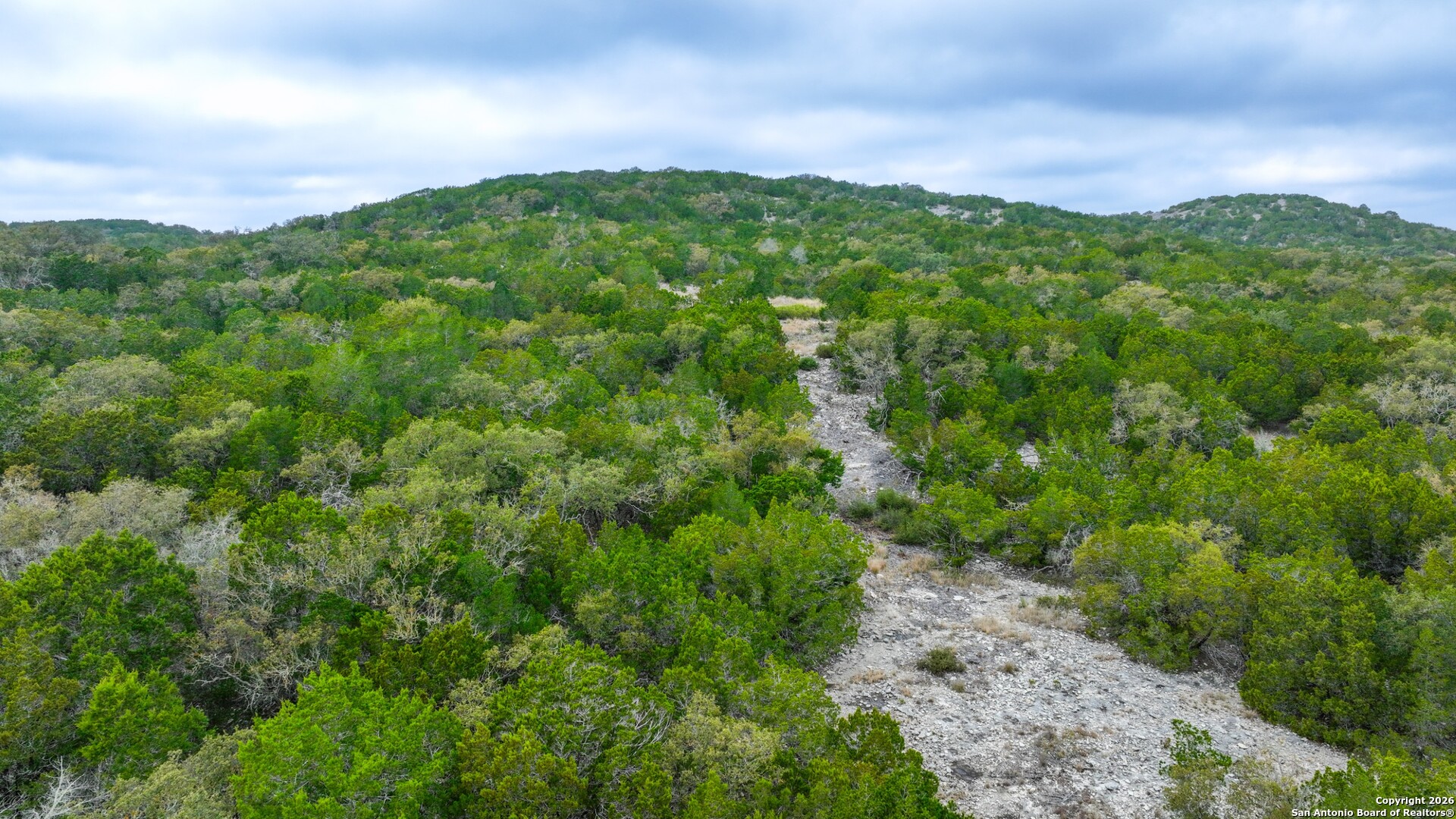 Lot 13 Wild Canyon Ranch Del Rio, TX 78840 - Photo 13 of 39 a view of a green field with lots of bushes
