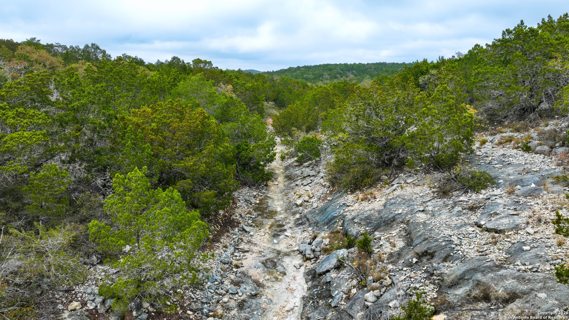 Lot 13 Wild Canyon Ranch Del Rio, TX 78840 - Photo 15 of 39 a view of a lush green forest with lots of trees