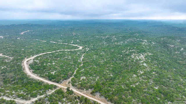 a view of a city with lush green forest