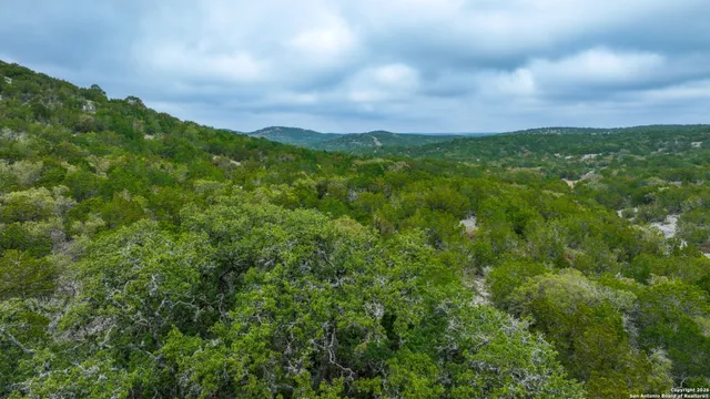 a view of a city and lush green forest