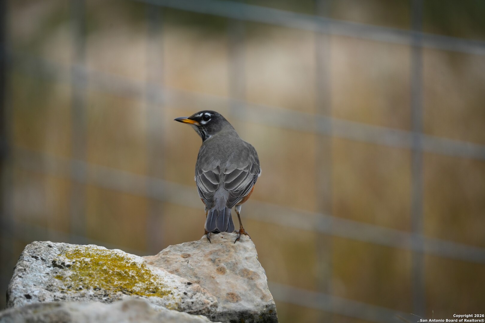 Lot 13 Wild Canyon Ranch Del Rio, TX 78840 - Photo 22 of 39 a close up of a sink