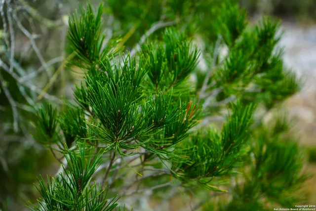 a building with a outdoor space