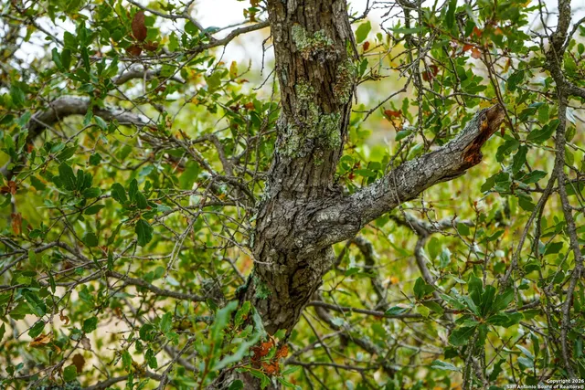 a view of sky from balcony