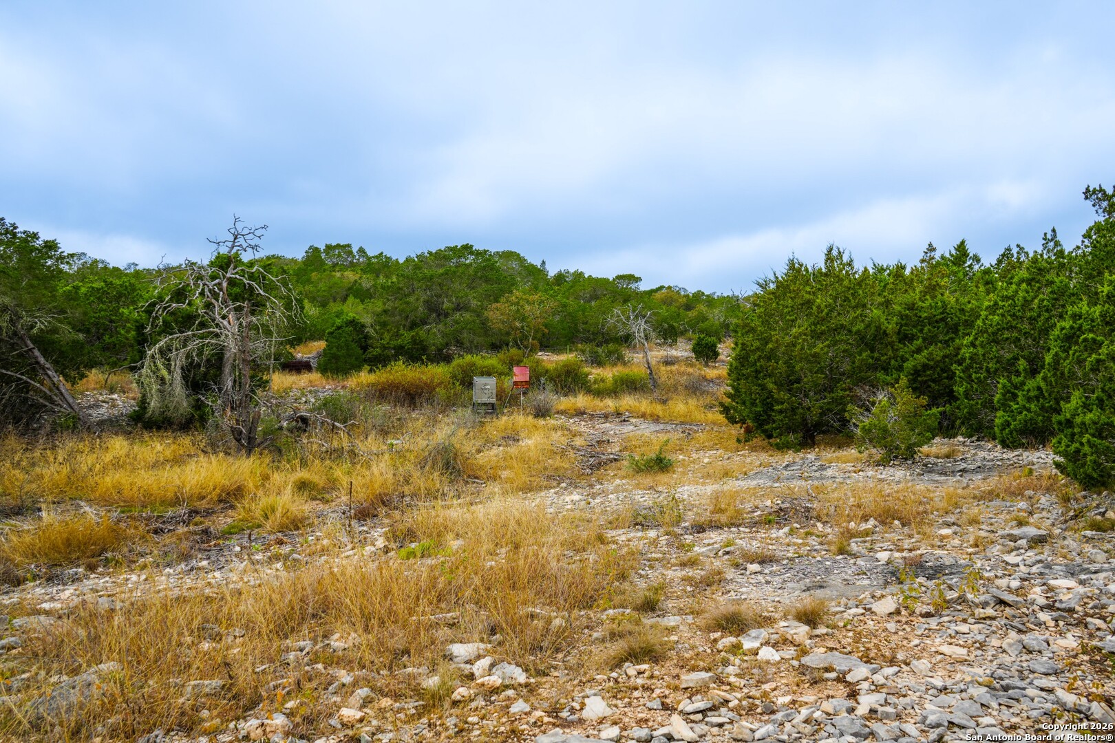 Lot 13 Wild Canyon Ranch Del Rio, TX 78840 - Photo 28 of 39 a view of a yard with a tree
