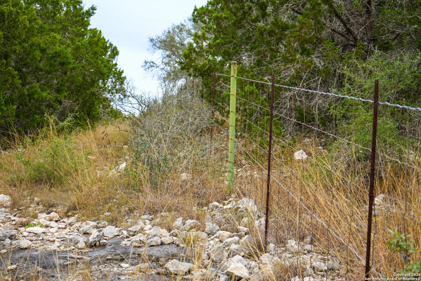 Lot 13 Wild Canyon Ranch Del Rio, TX 78840 - Photo 31 of 39