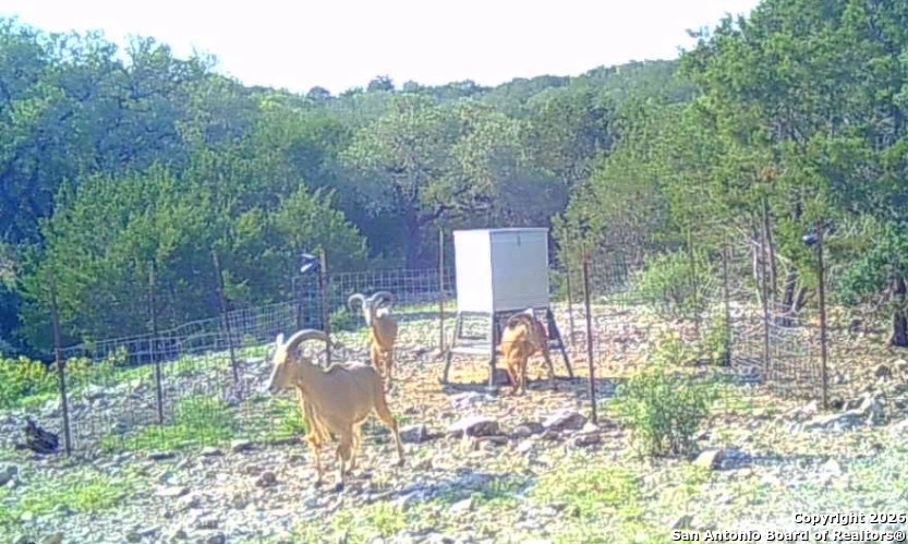 Lot 13 Wild Canyon Ranch Del Rio, TX 78840 - Photo 33 of 39 a view of a chairs and table in the backyard