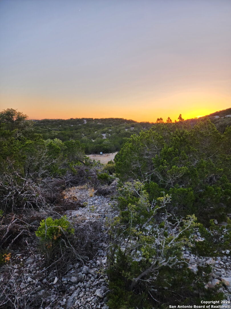 Lot 13 Wild Canyon Ranch Del Rio, TX 78840 - Photo 34 of 39 a view of a mountain in the distance in a field