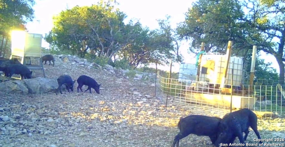 Lot 13 Wild Canyon Ranch Del Rio, TX 78840 - Photo 35 of 39 a view of two chairs with a fire pit
